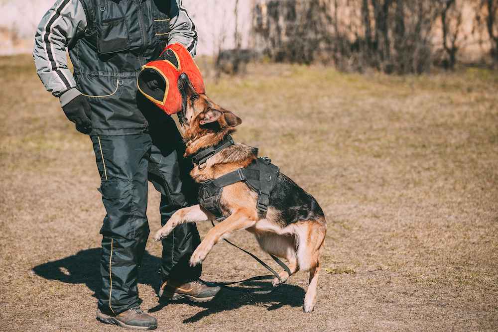 personal injury firm houston