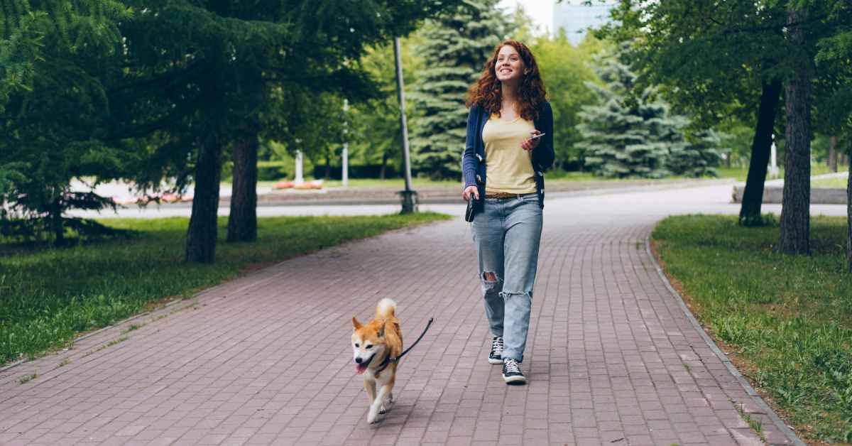 Key Requirements Under Texas Leash Laws